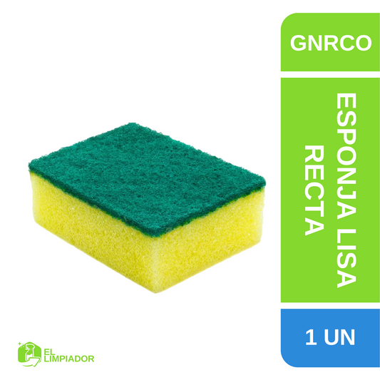 Esponja Lisa Recta Común