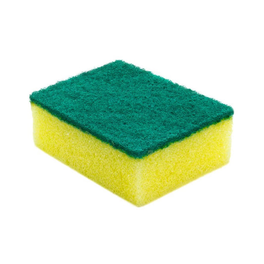 Esponja Lisa Recta Común